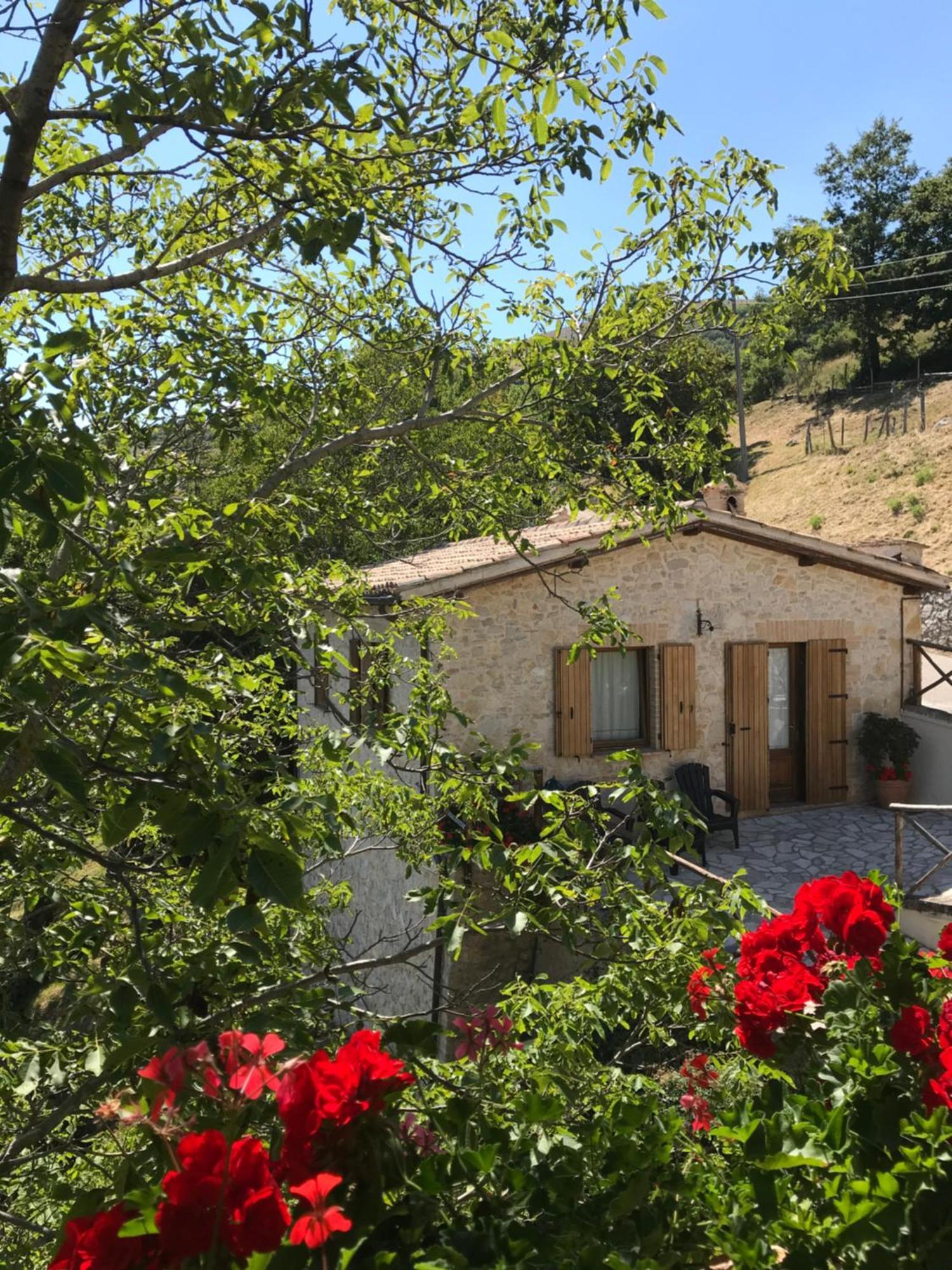 Agriturismo Pettino Campello sul Clitunno Exterior photo